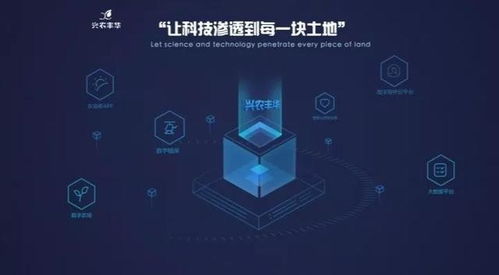 興農豐華與國家玉米改良中心達成戰略合作 信息技術驅動玉米工程化育種創新