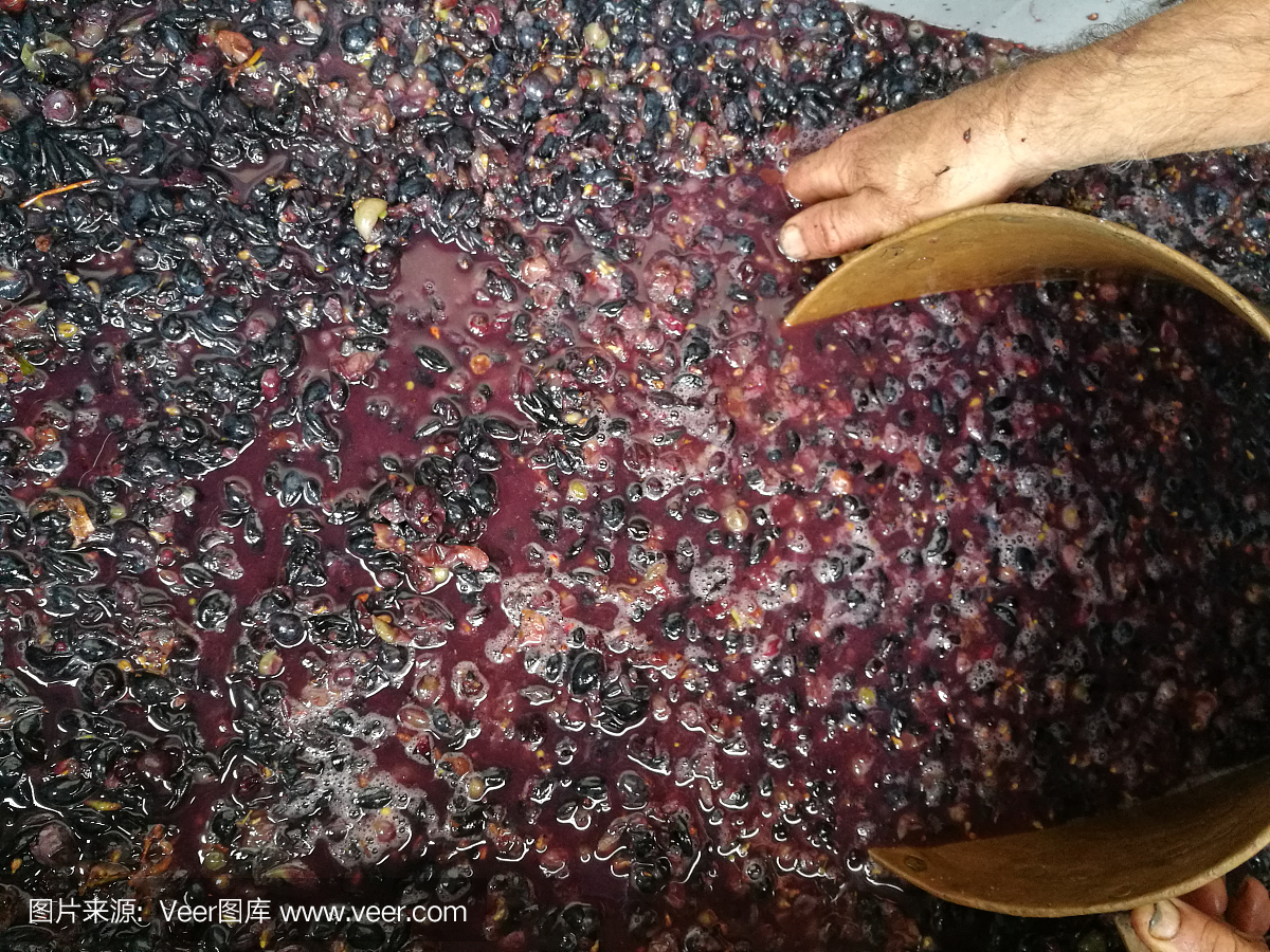 葡萄酒之家生產